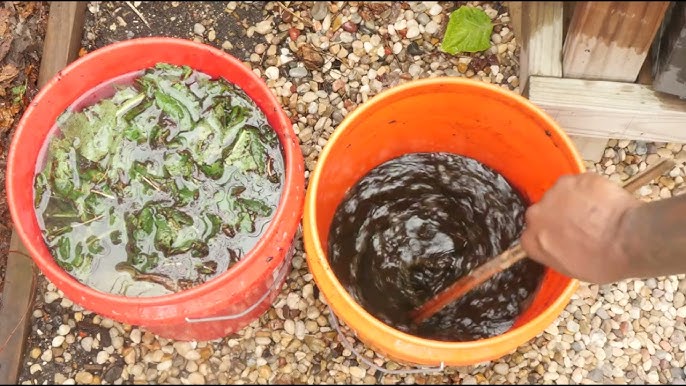 How often to use 20 20 20 fertilizer? (Easy tips for feeding your garden just right)