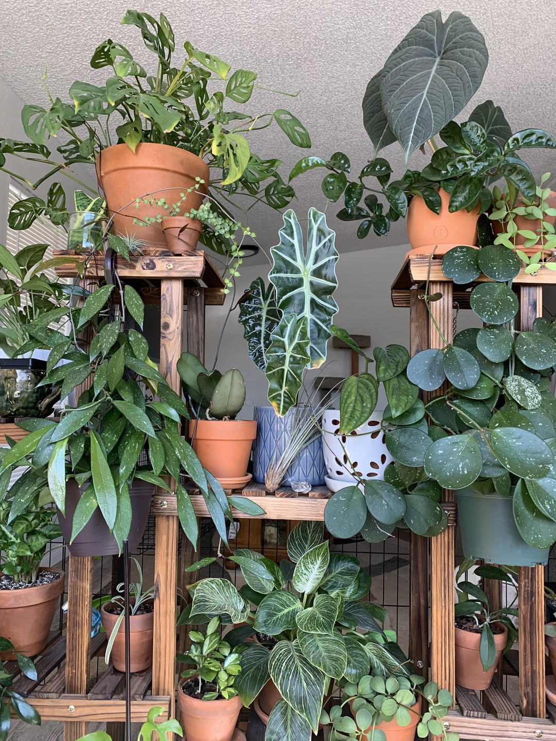What kind of plants suit a flowerpot table lamp? Find the best green buddies for your light!