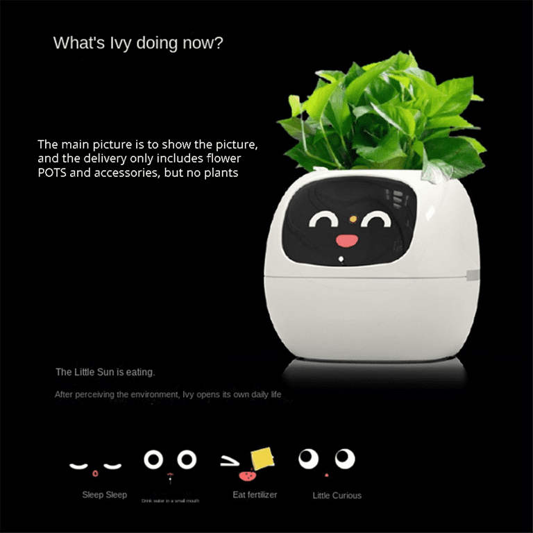 Buy flowerpot USB drive? Check out these deals now!