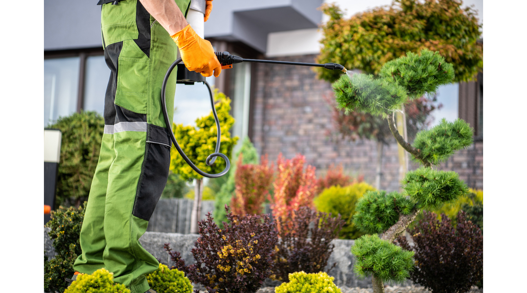 Finding the best nys 30 hour pesticide course online (our top picks for NY residents!)