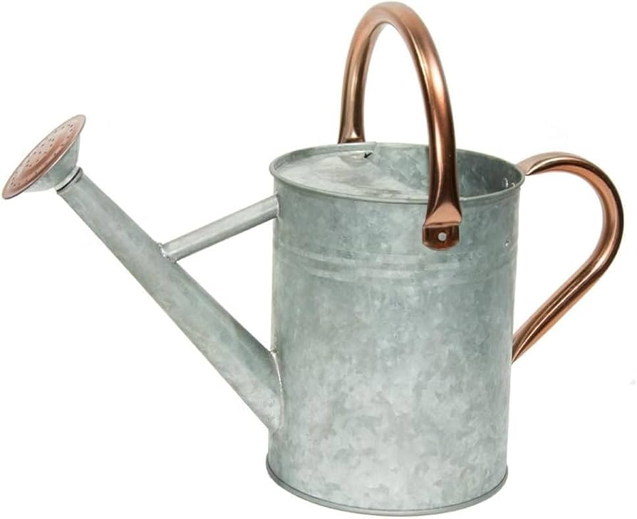 Metal Watering Cans for Sale: Find Deals Now