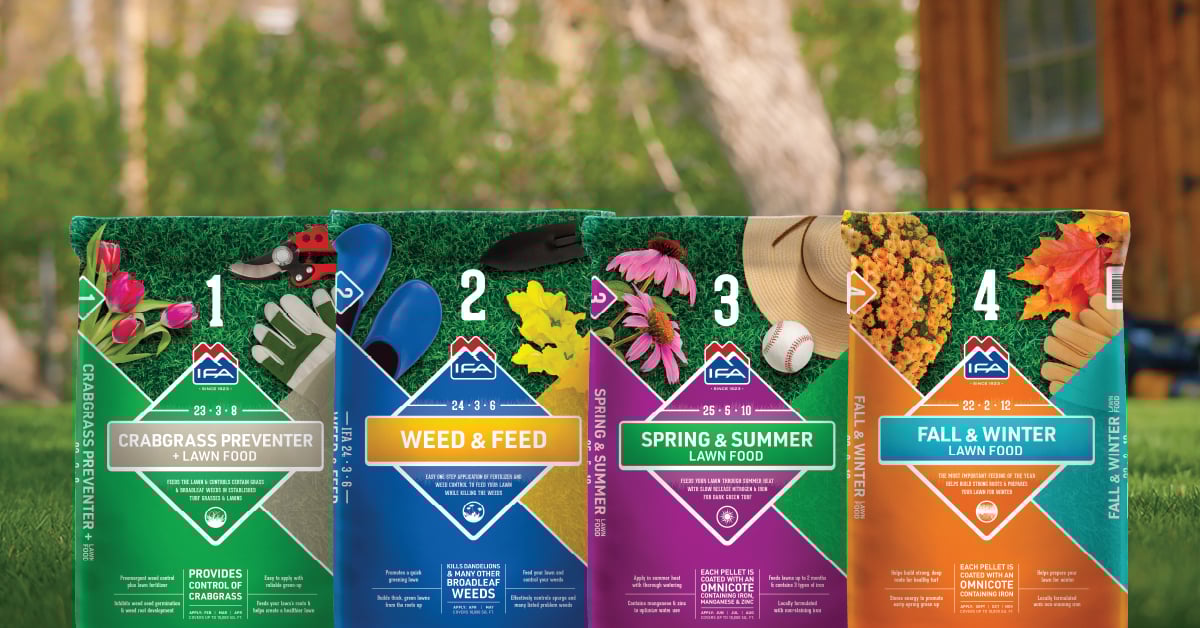 How to use 12 24 12 fertilizer correctly? Simple steps for a much healthier, happy garden.