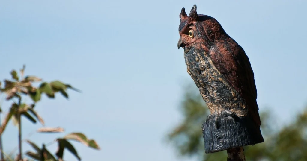Does a fake animal to scare squirrels actually work long term? Real user reviews on their effectiveness.