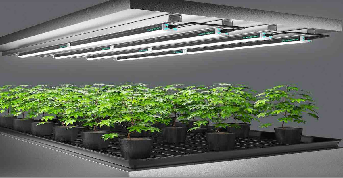 Easy setup for your large led grow lights? Get great results with our simple step by step guide.