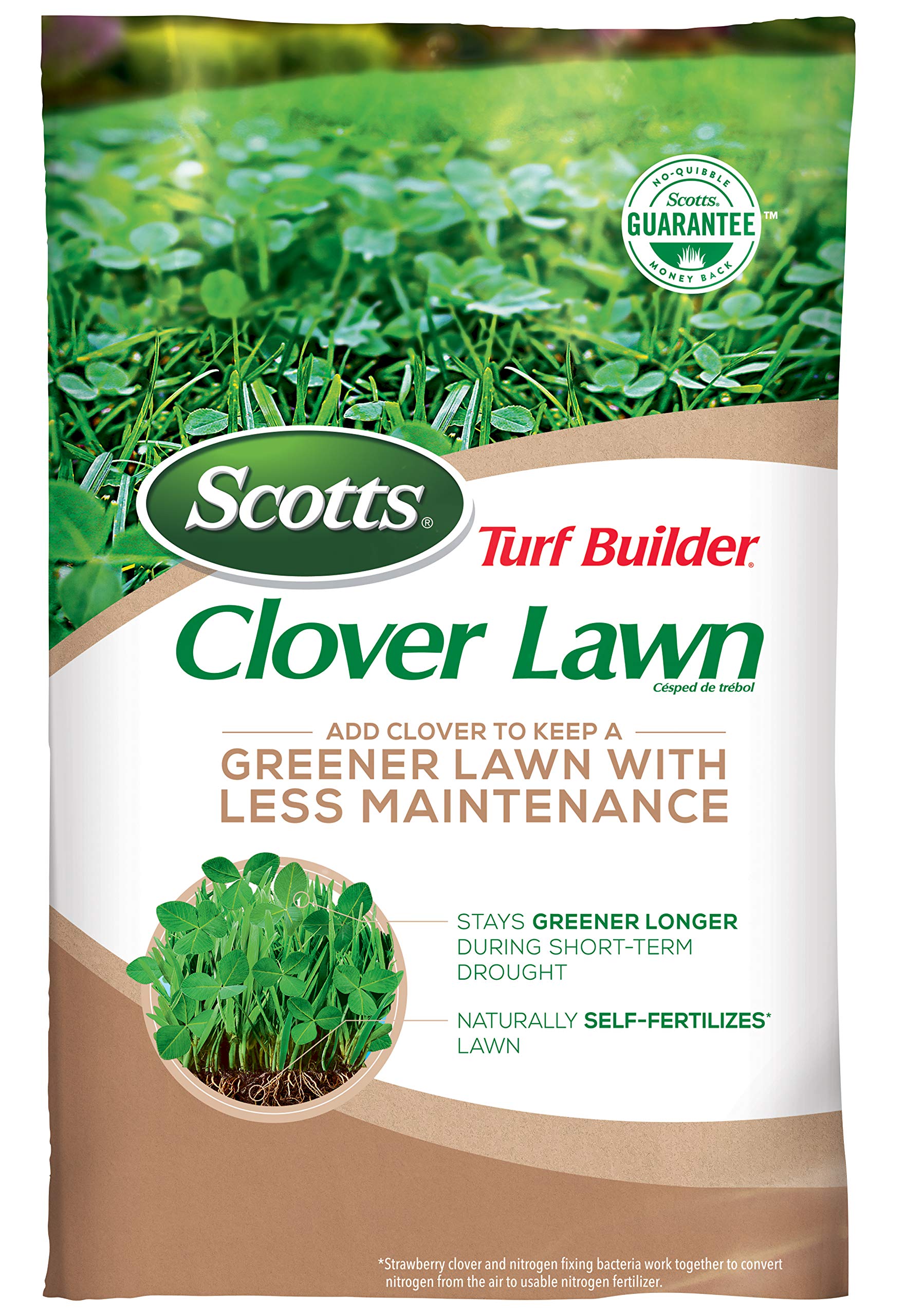 The big question: does clover need fertilizer at all? Learn how to keep your clover happy and vibrant.