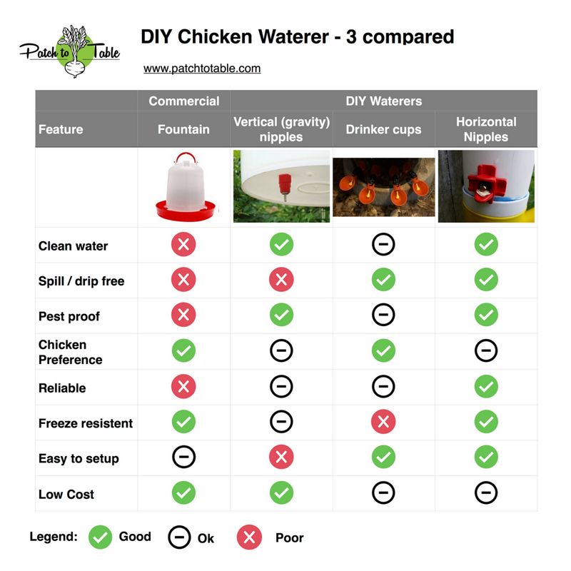 Best chicken waterer system: How do you pick one? (Tips for clean water and happy chickens)