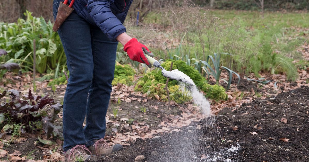 How to use lime for clay soil properly (easy steps for a much better garden).