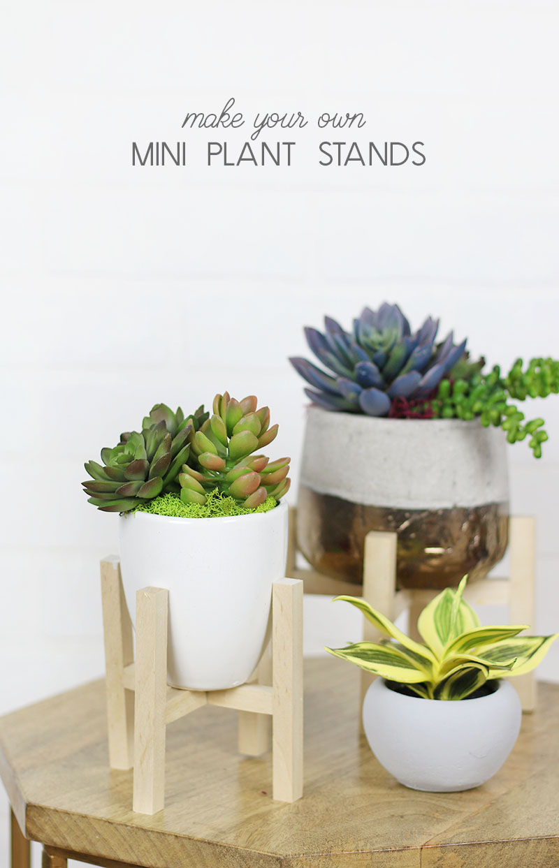 How to use a mini planter stand? Get cute ideas to show off your tiny plants well.