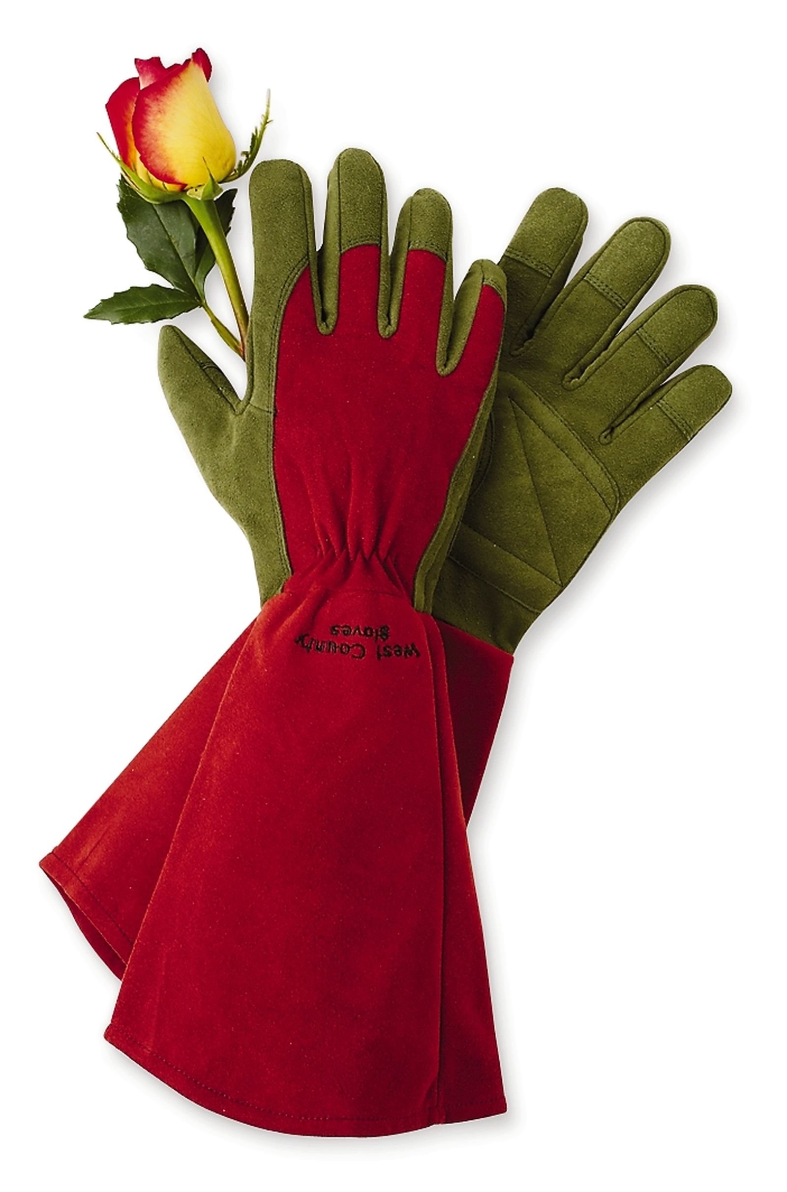 Are gardener leather rose gloves worth the extra cost? See why they provide superior protection for gardeners.