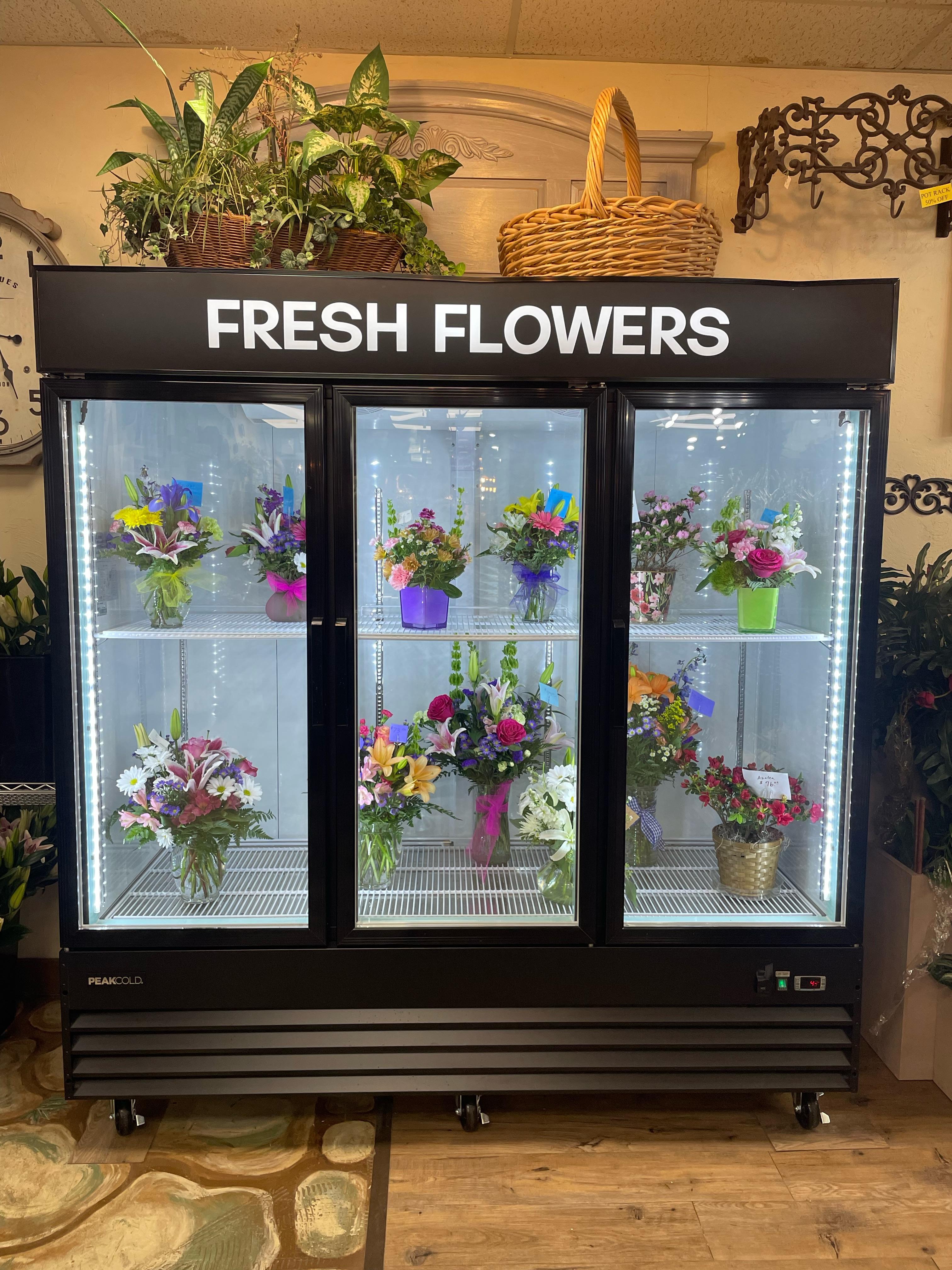 Your simple guide to florist cooler temperature: How to set it correctly for truly amazing flowers.