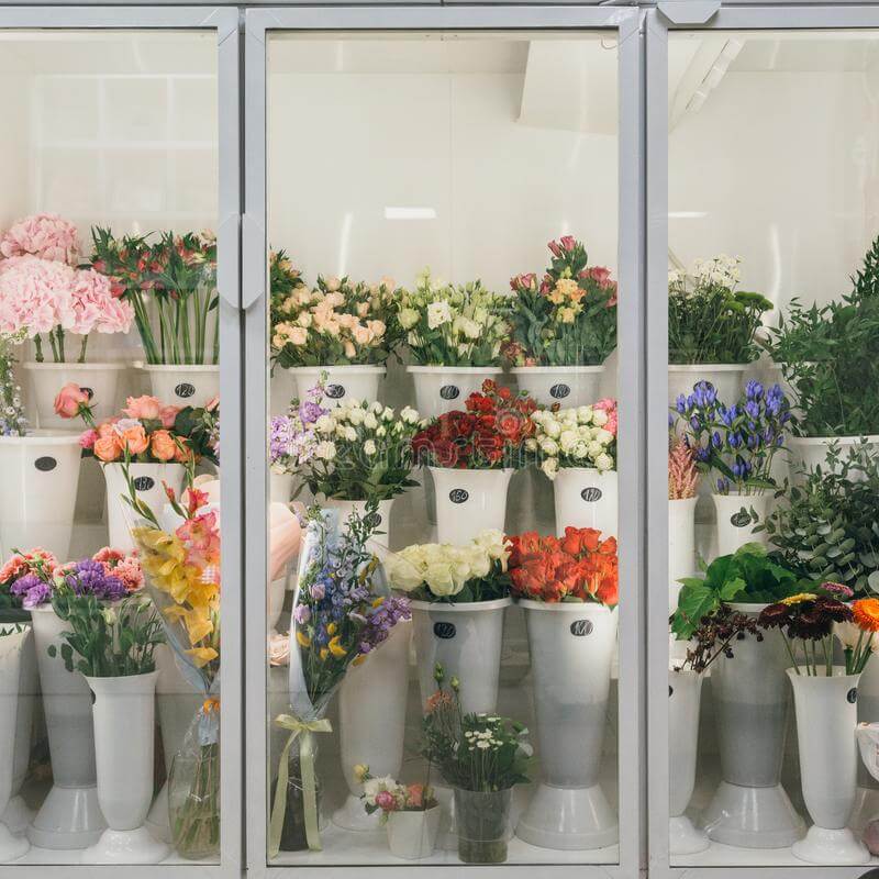 Your simple guide to florist cooler temperature: How to set it correctly for truly amazing flowers.