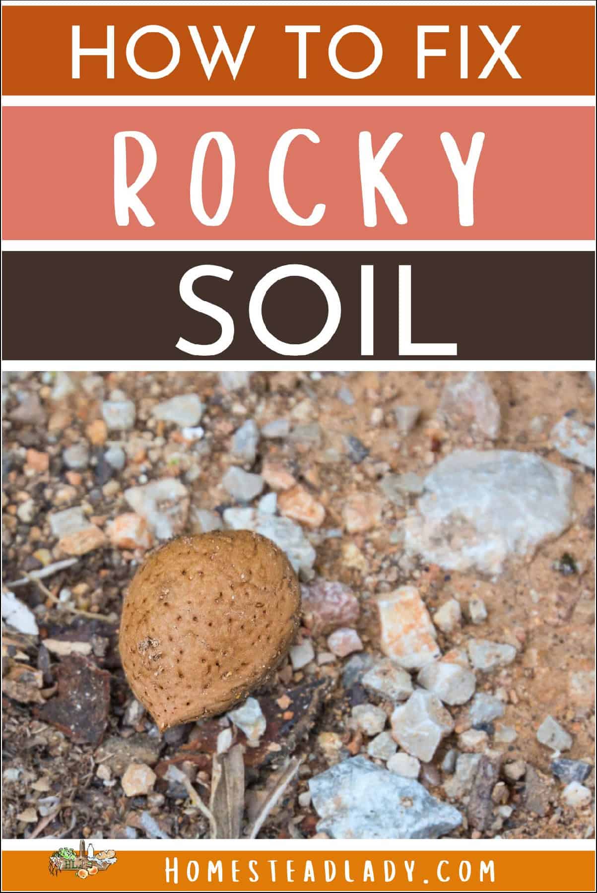 Is digging in rocky soil a big problem for you? Here are 4 easy ways to handle it!