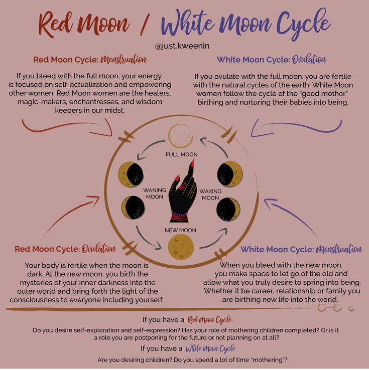 Using red moon cycle fertility for pregnancy: Real stories and practical tips from women.