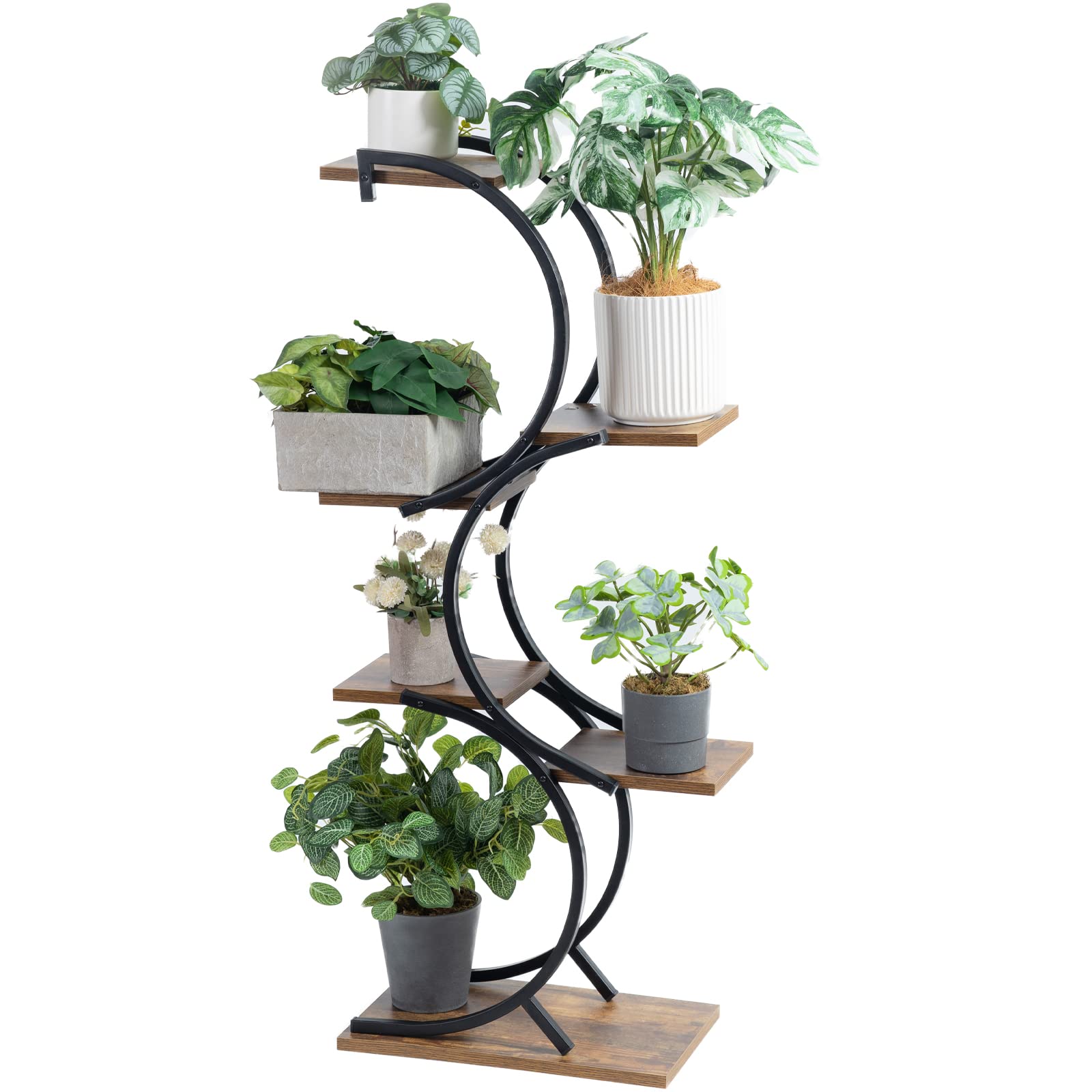 How to choose the best iron plant stand indoor? Follow these simple tips for style and durability inside.