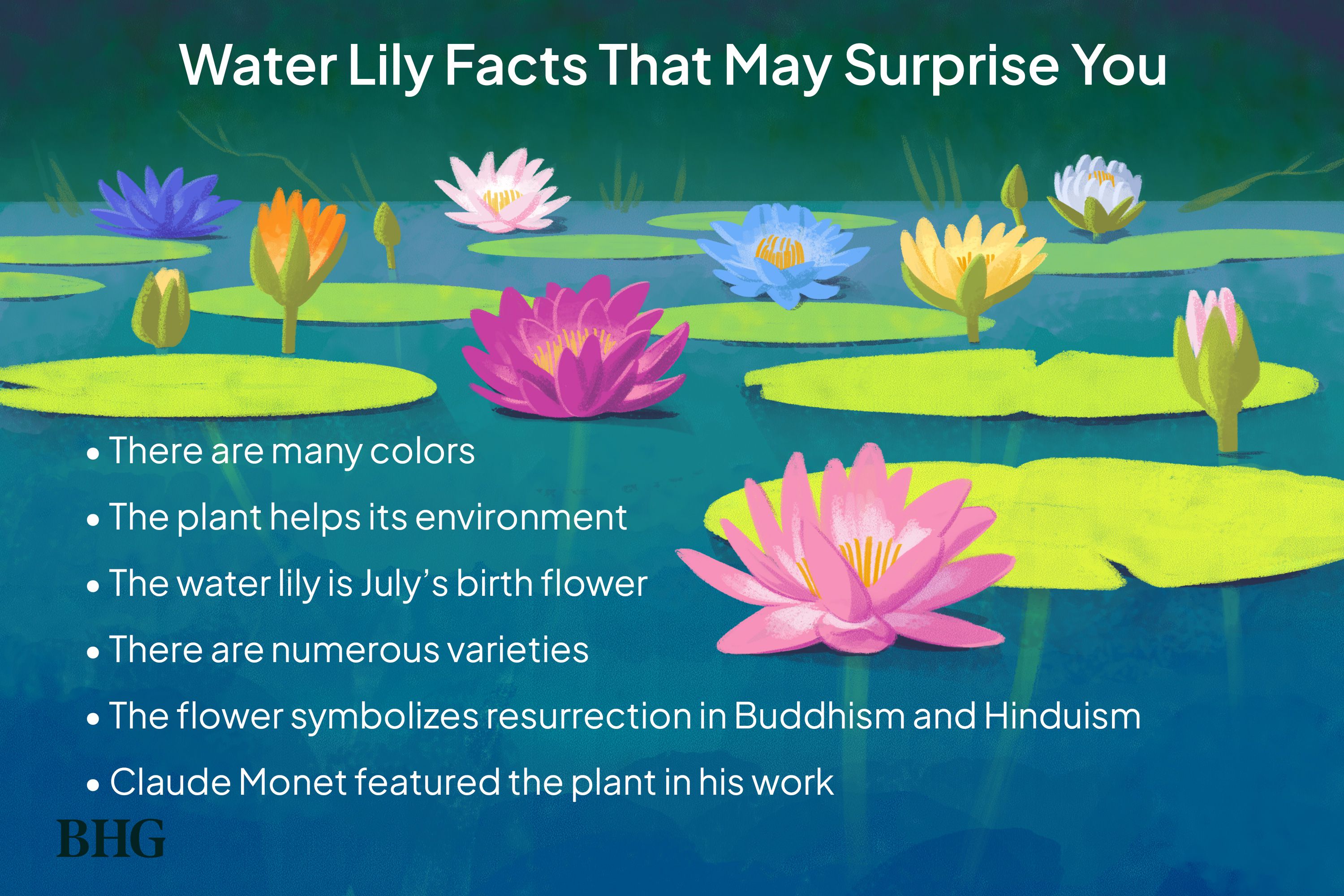 Why are flowers of wa so special? Learn about their unique adaptations.