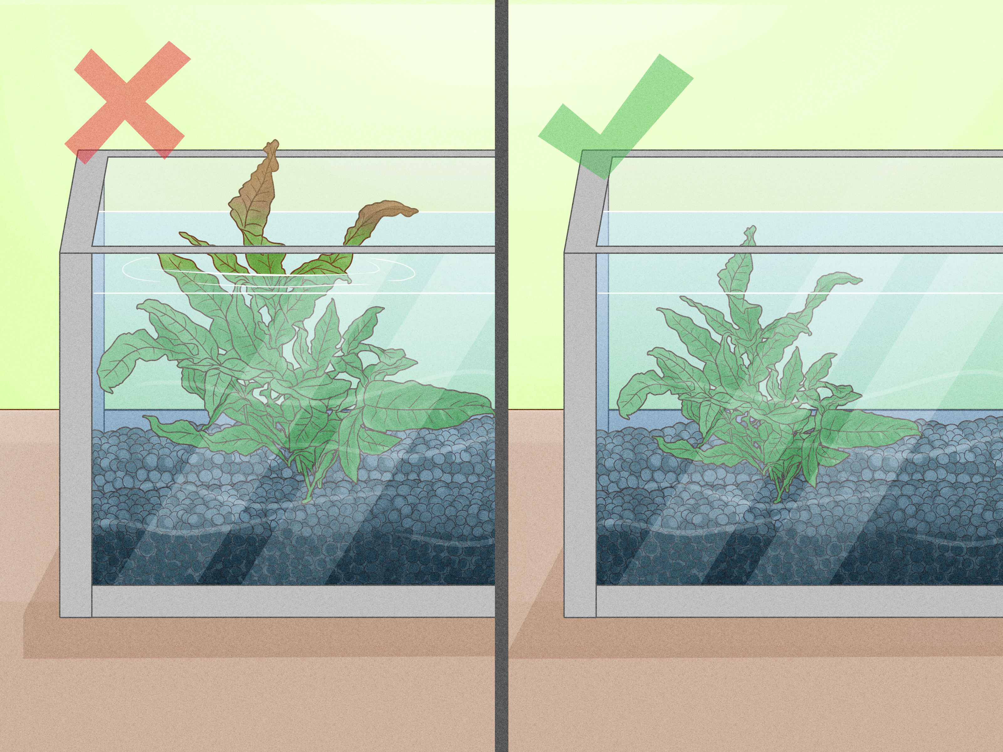 Do aquatic plants need soil, or are there simple alternatives? Discover how to keep them happy easily!