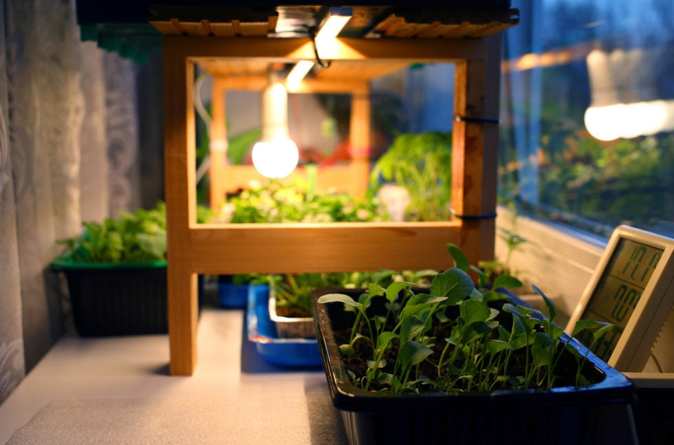 Is buying a used grow light a smart move? Understand all the benefits and potential risks first.