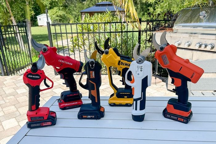 The Best Cordless Pruning Shears? Expert Reviews Here