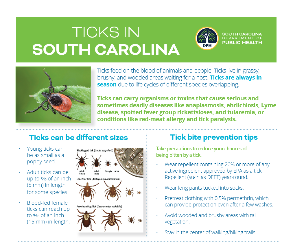 Can you get Lyme from ticks in South Carolina? Understand the actual facts before going outdoors.