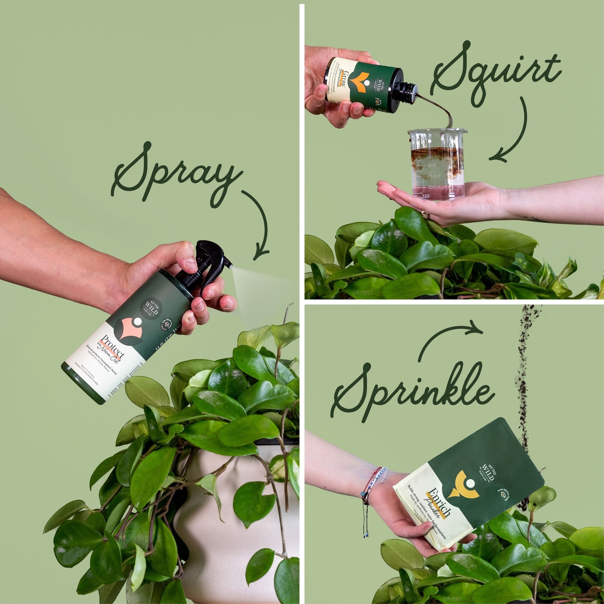 Why use unique plant care accessories for your plants (Discover benefits that help your plants grow)