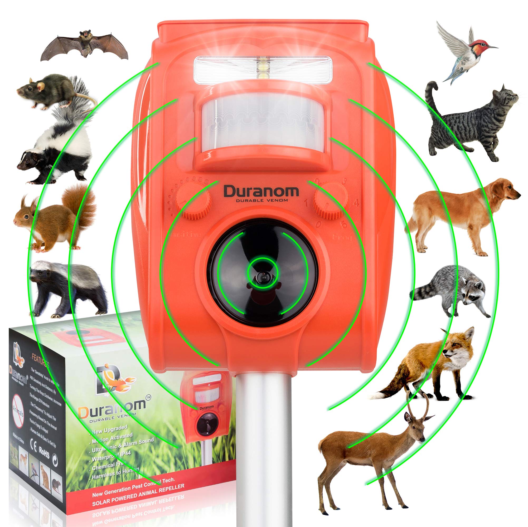 Will a motion sensor to scare deer actually work? What you need to know before you buy one.