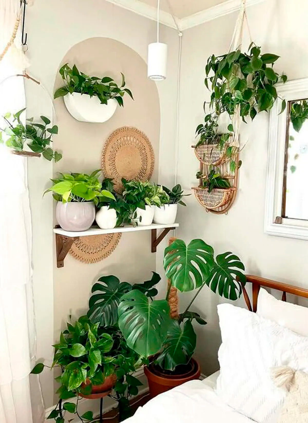 Whats the best grow light for rubber plant? (Find simple choices for a happy, healthy plant).