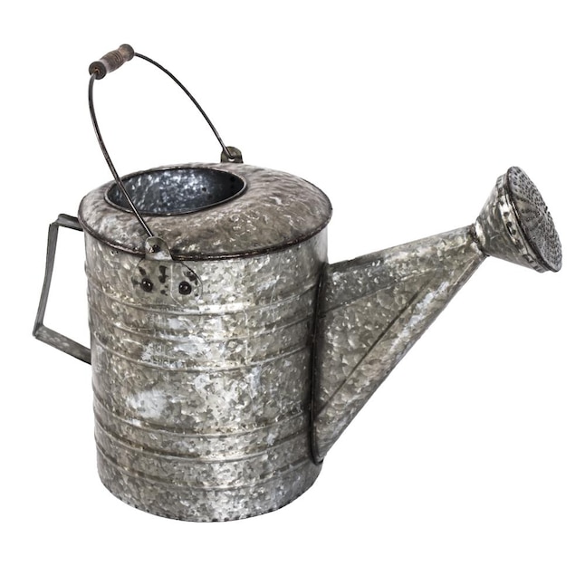 Is a 3 Gallon Galvanized Watering Can Worth Buying? Yes! Its a Great Helper for Serious Gardeners!