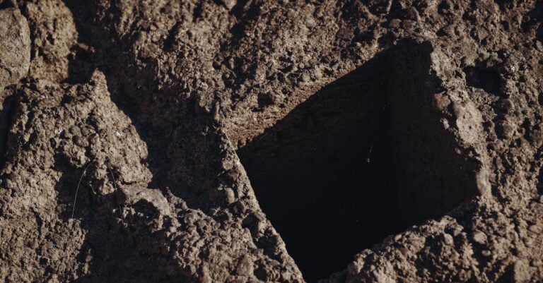 Which method for digging rocky soil is best? Compare these techniques to help you decide easily!