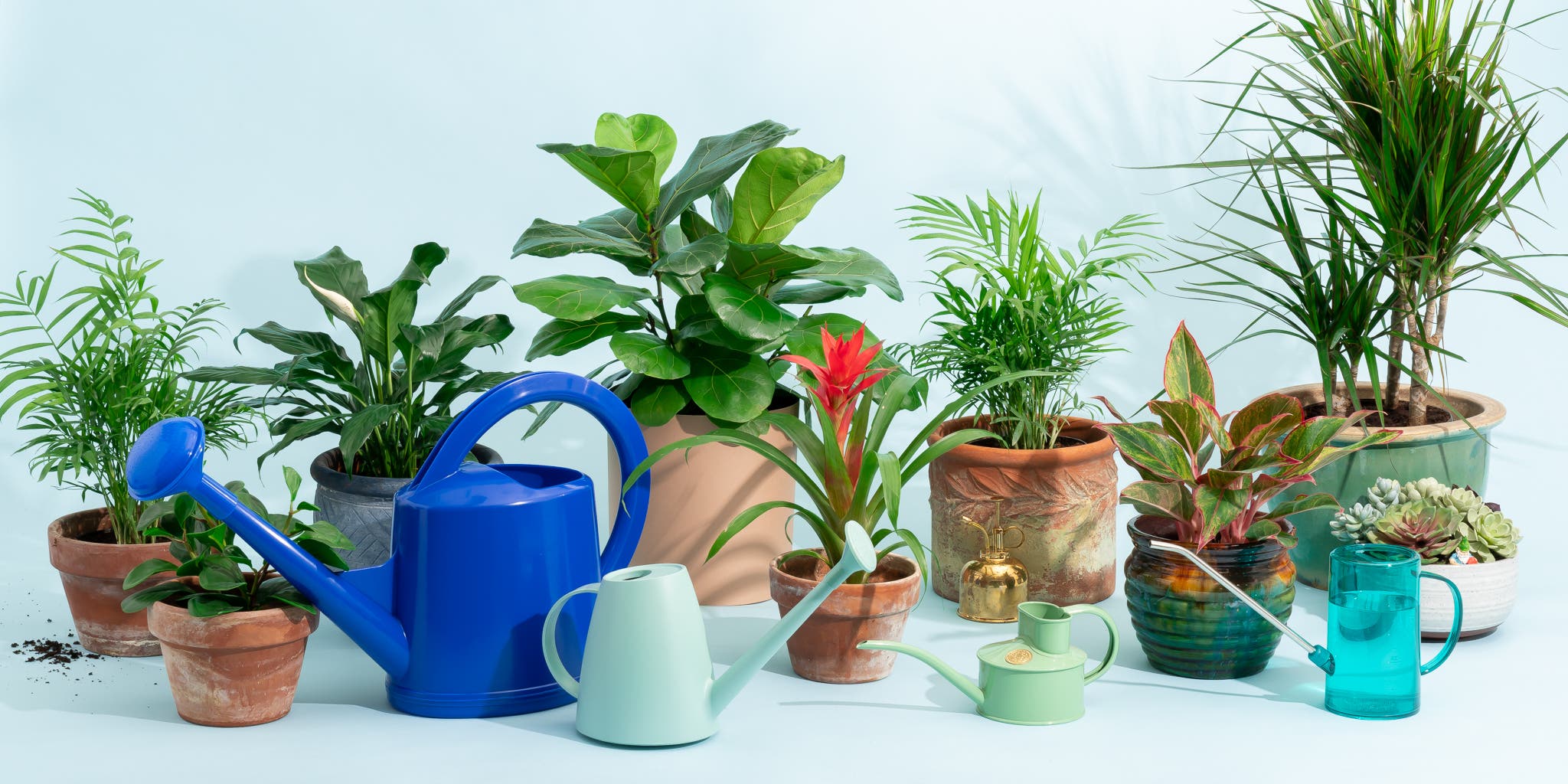 How to pick the best ace hardware watering cans? Get simple tips for choosing the perfect one for your plants!