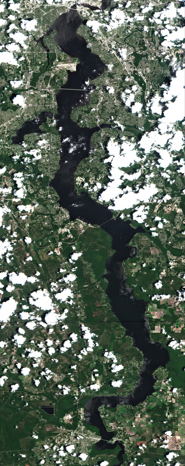 What is the st johns river water temperature today? Get the most current updates for planning your activities.