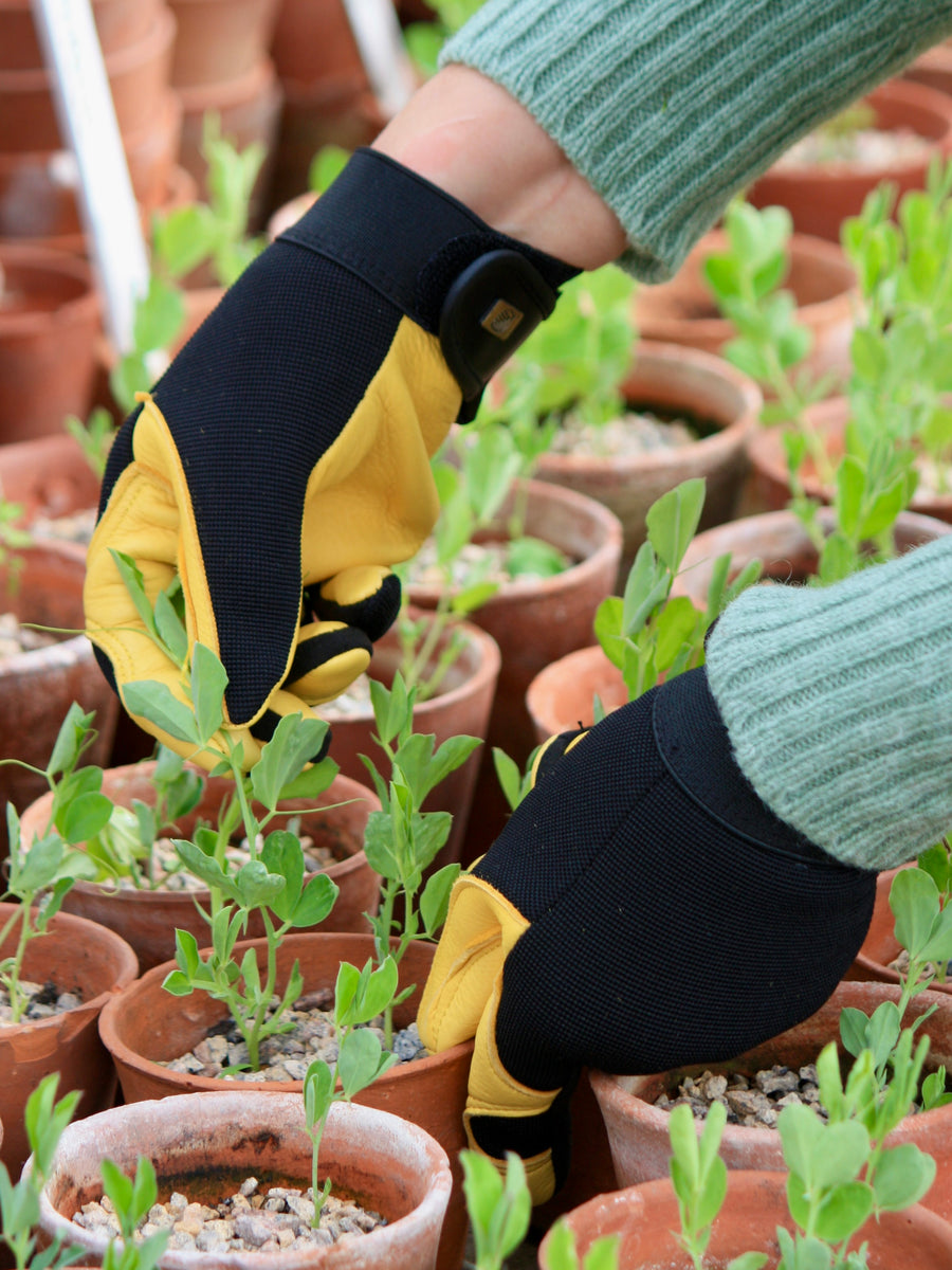 Thinking about choosing bulk gardening gloves? Here are easy tips for great comfort and real hand protection.