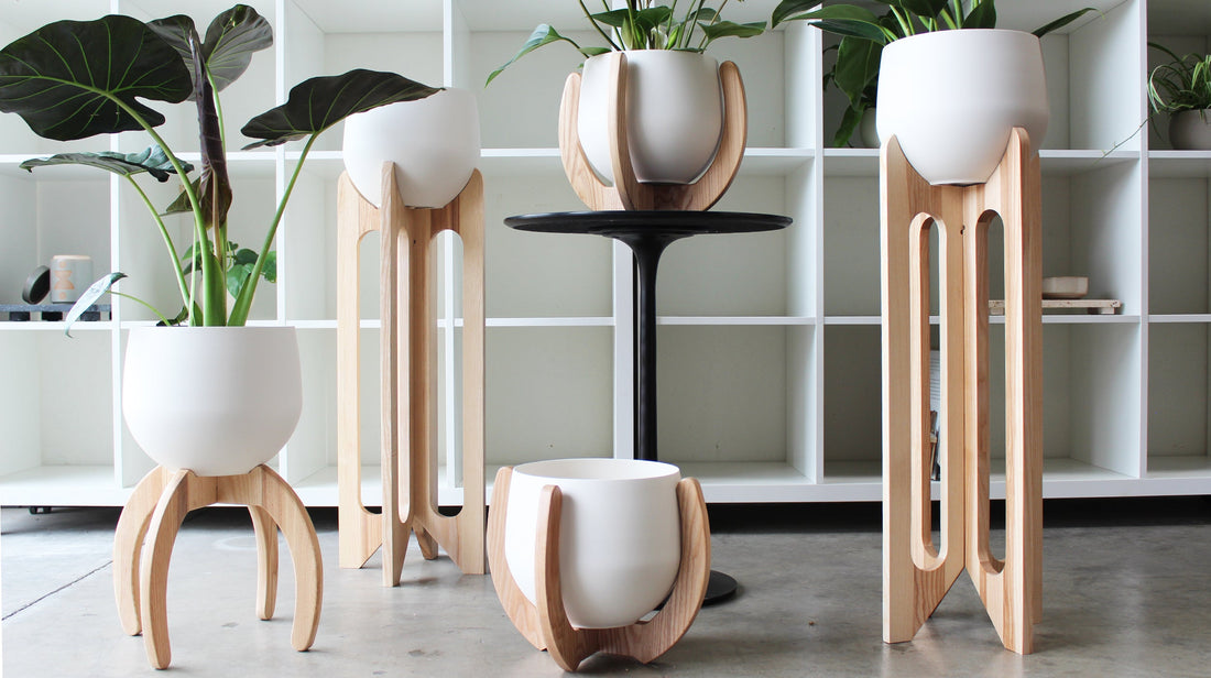 How can a modern planter stand refresh your space? See how it makes plants pop with style.