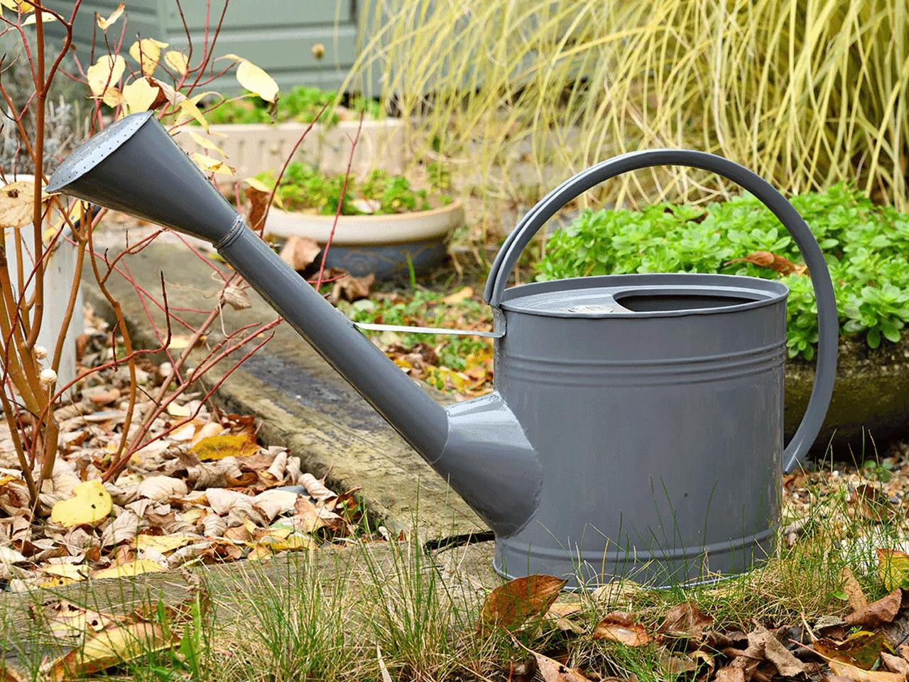 Finding the best metal 2 gallon watering can (Simple tips for your happy gardening needs)