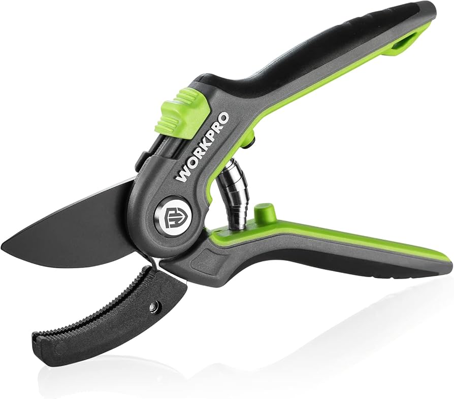 Looking for truly durable anvil pruning shears that are guaranteed to last long? (Check out these important tips for choosing a super reliable pair for your garden)