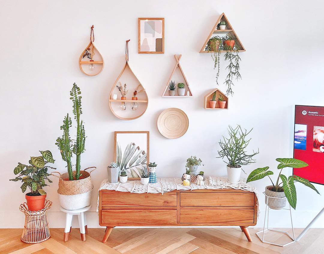 Want your plant bench stand to look amazing? Easy tips for a stunning plant display.