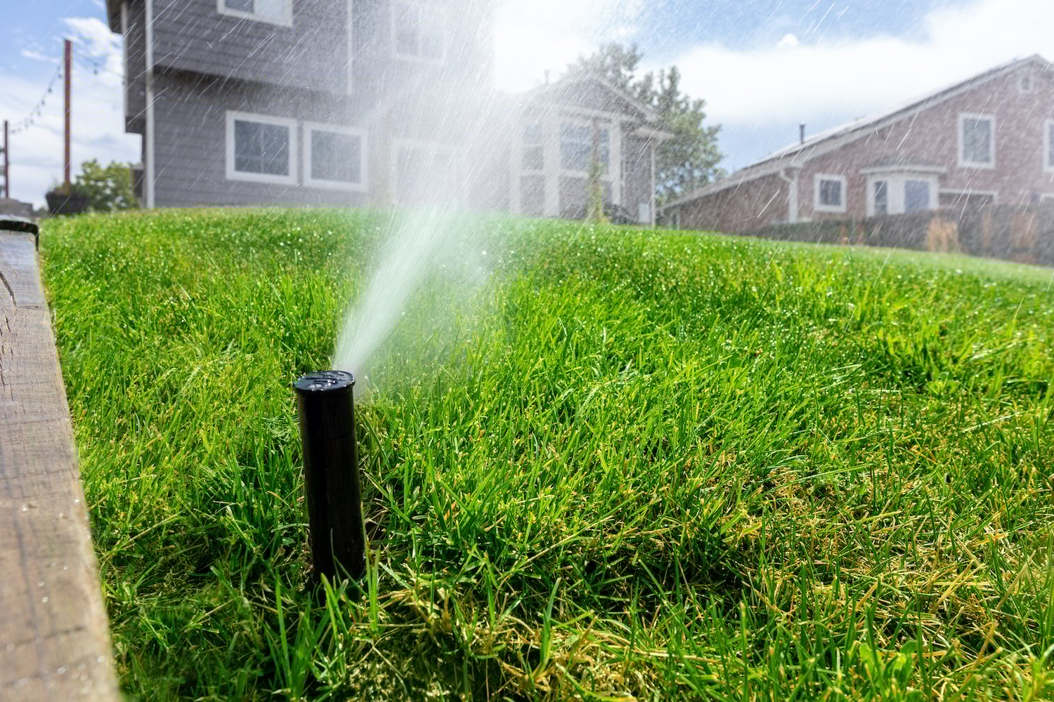 Does Over Watering a Lawn Cost More Water Bill Concerns Explained
