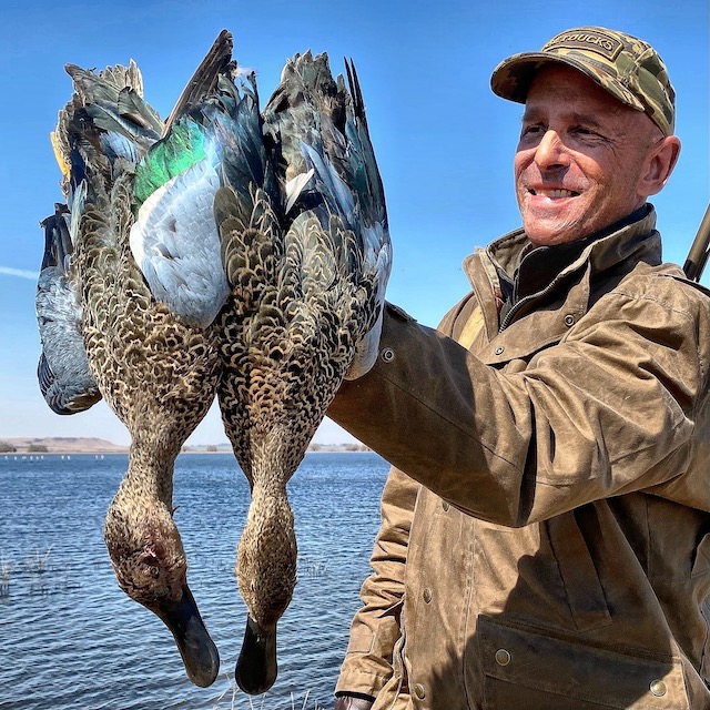 Where can I find the cape shoveler? (These are the best spots to see this awesome duck!)