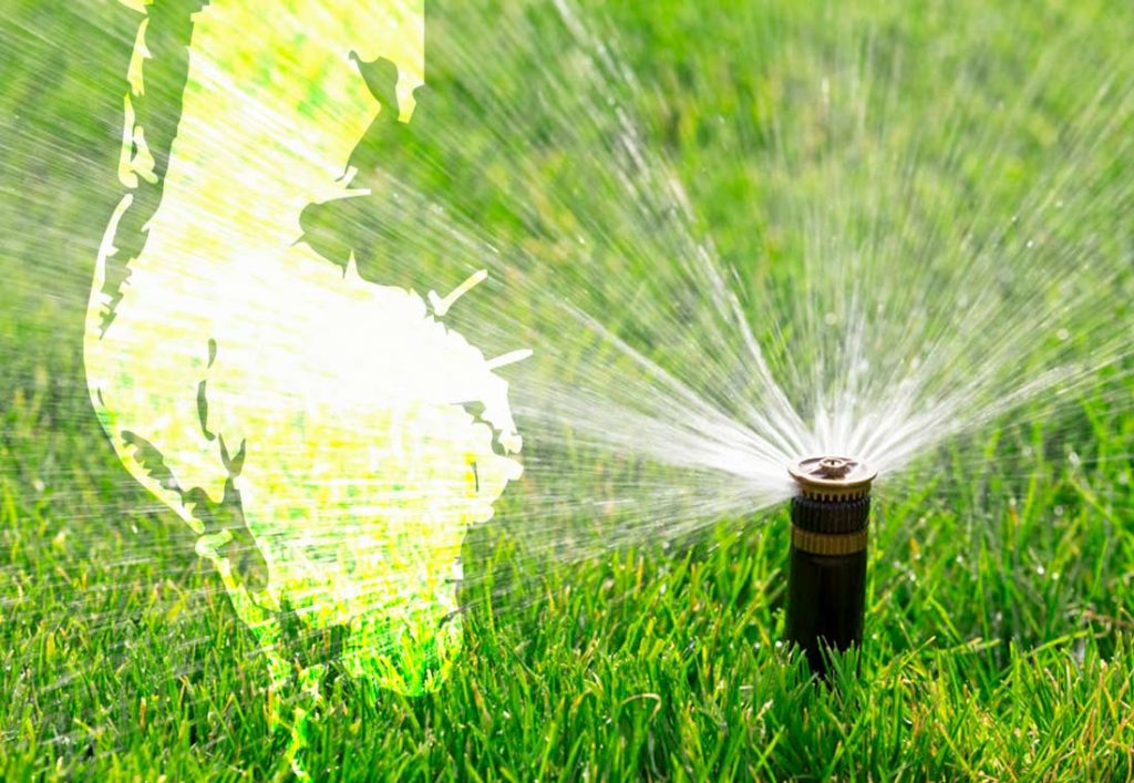 Best Pinellas Watering Schedule Times Save Money with Water Tips