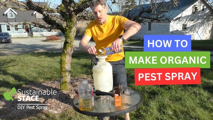 How to Apply Organic Fruit Tree Pesticide Step by Step Guide