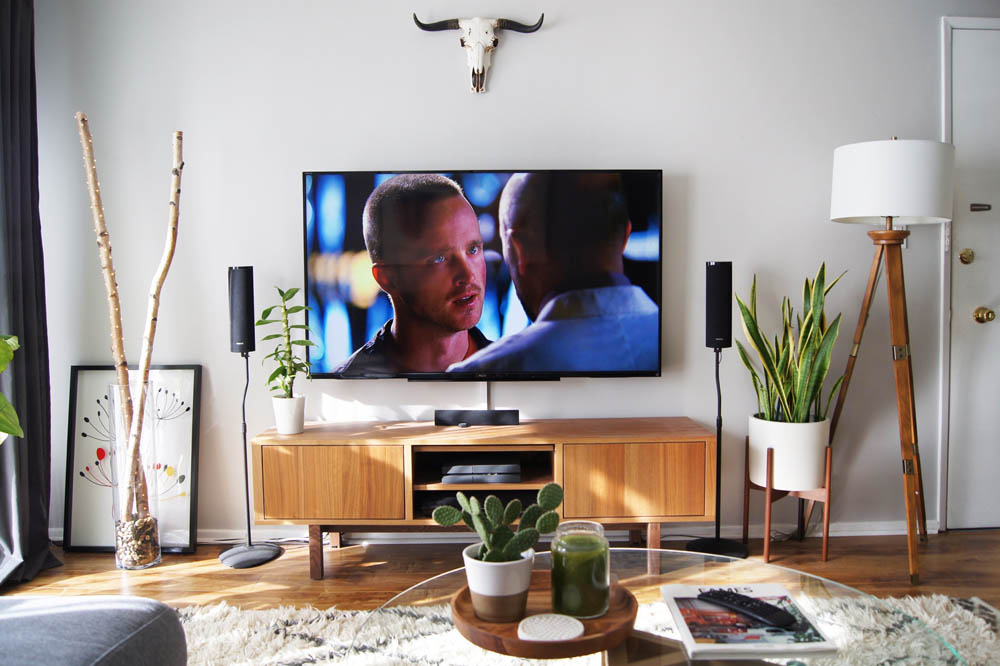 Small Space Solution Snake Plant Stand Tips For Apartments
