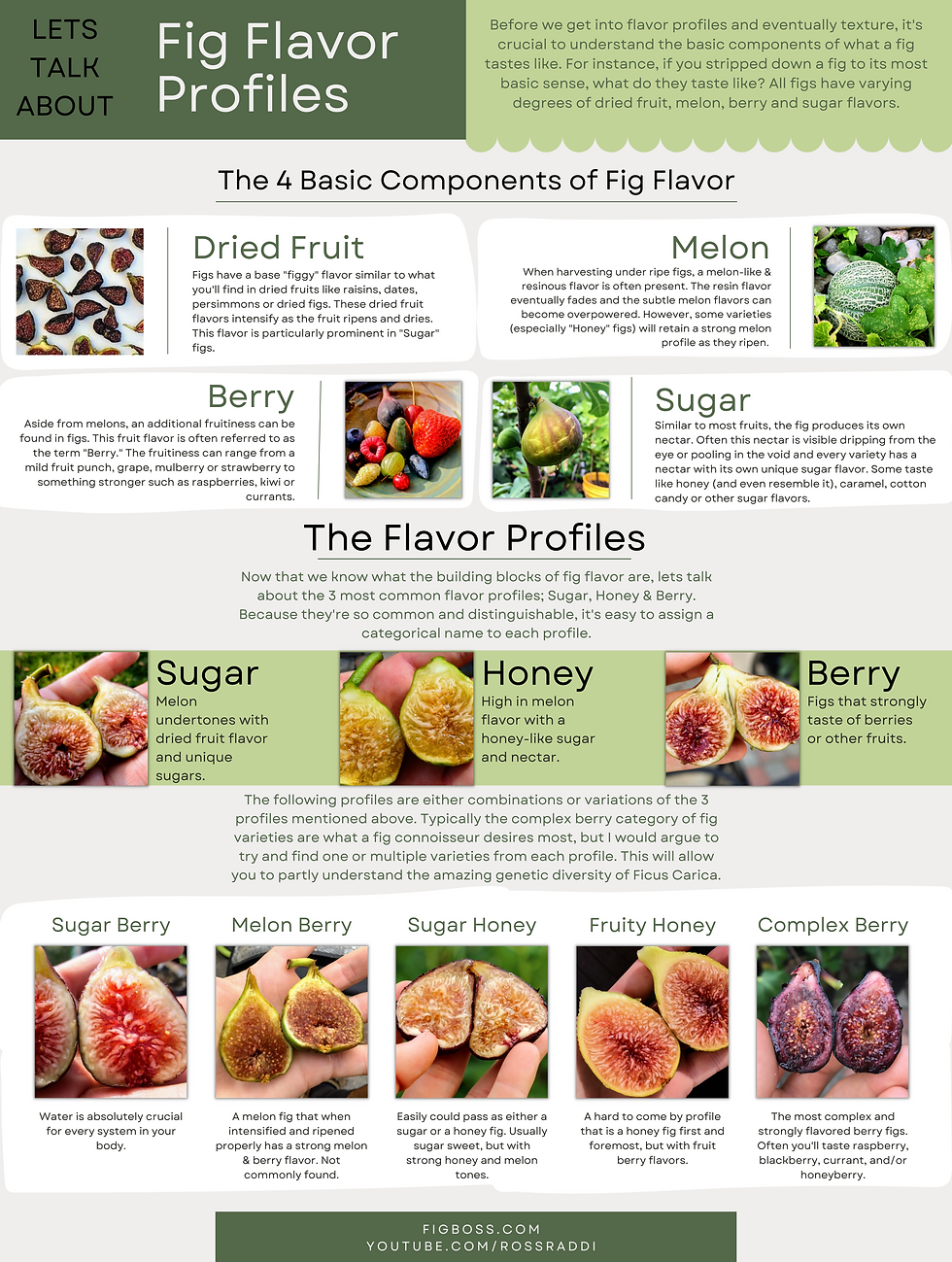 Repotting Figs Made Easy: Quick Guide for Healthier Plants!