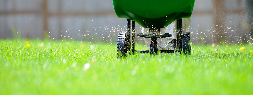 Applying Fall Grass Fertilizer Winterizer? Avoid These 3 Common Mistakes