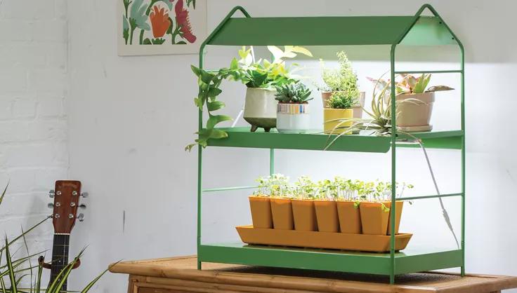 Small Space Solutions Using Grow Light Stands for Indoor Gardens
