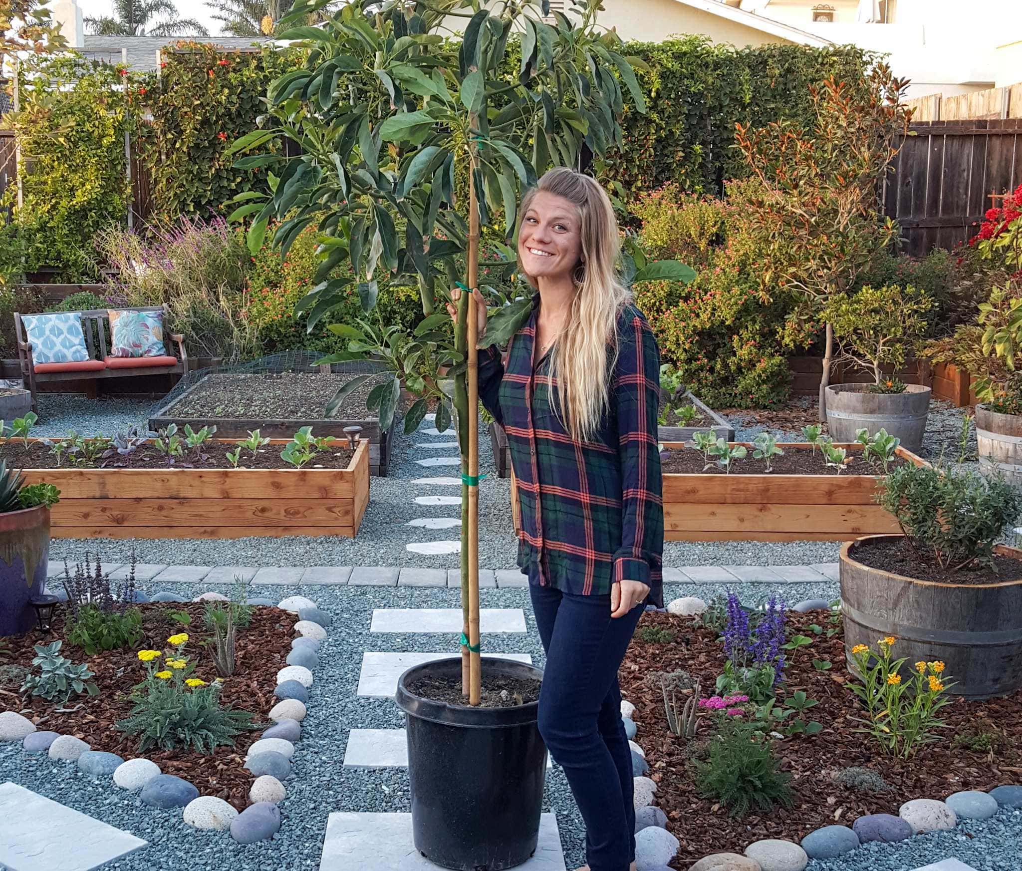 How to grow flowering trees in georgia? Simple gardening steps shared.