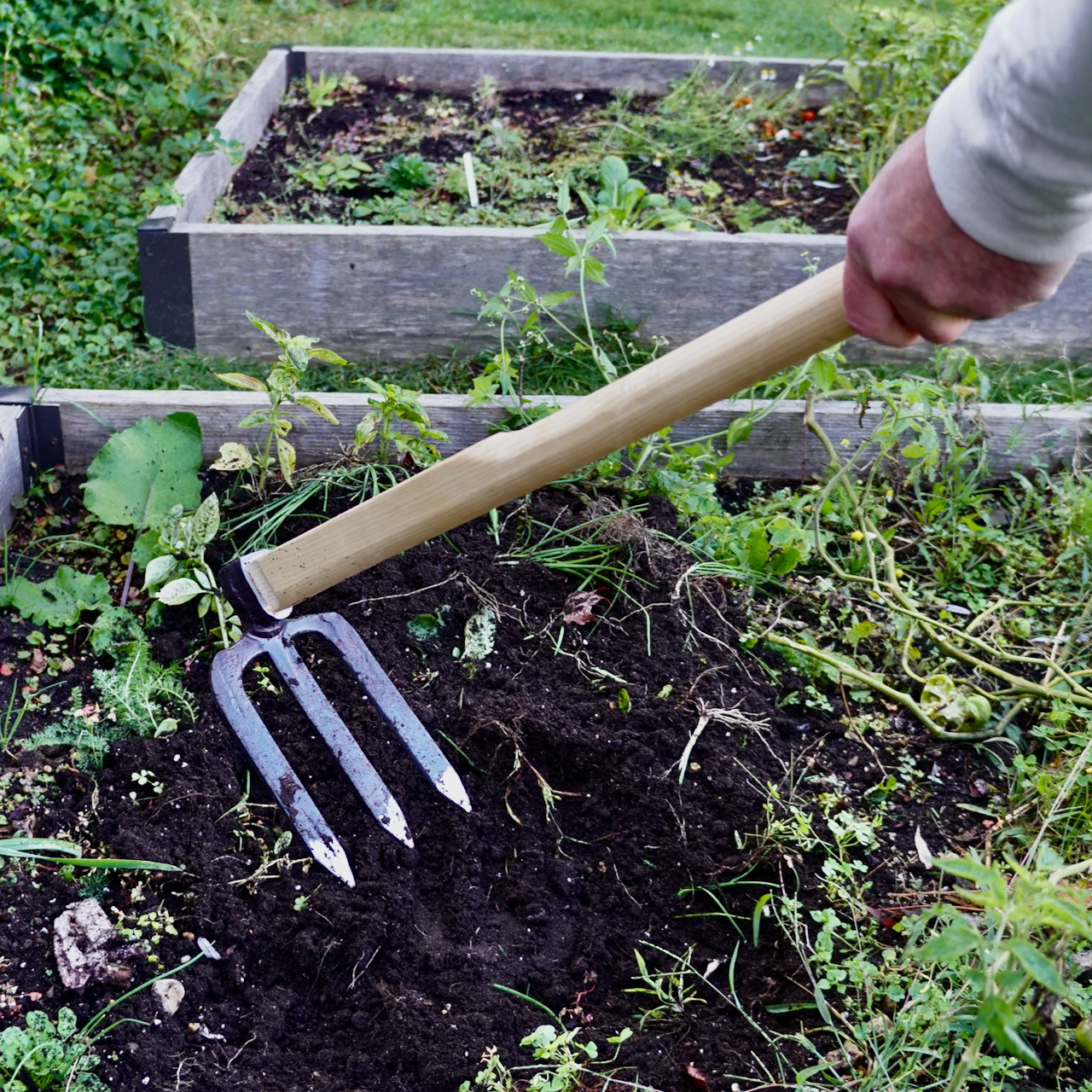 Why Choose a 3 Prong Gardening Tool for Hard Soil