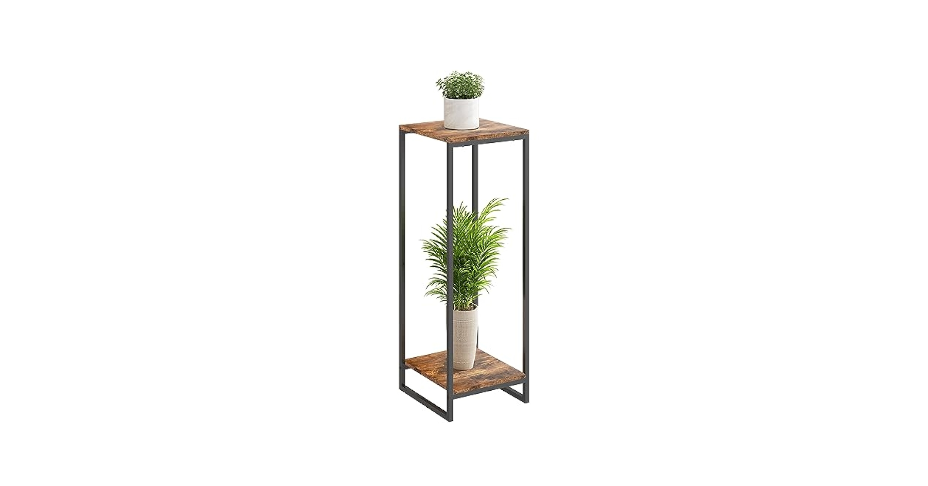 Where to buy modern plant stand tall? Explore affordable online stores here!