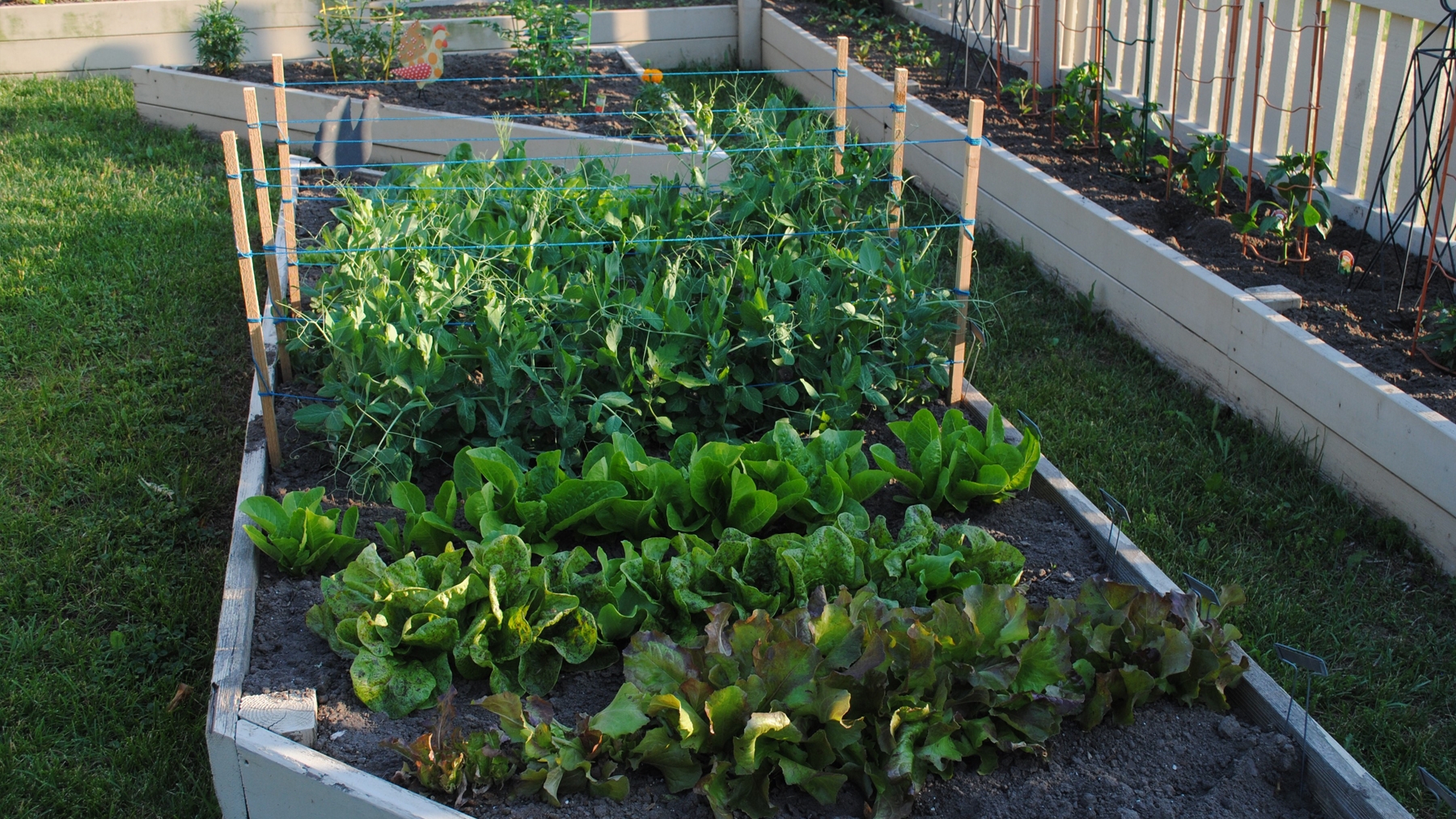 Mark Boone Soil and Water Guide: 3 Easy Tips for Better Management!
