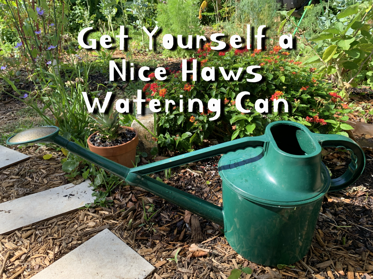 Buying Haws Watering Can Mistakes? Avoid These 3 Common Errors!