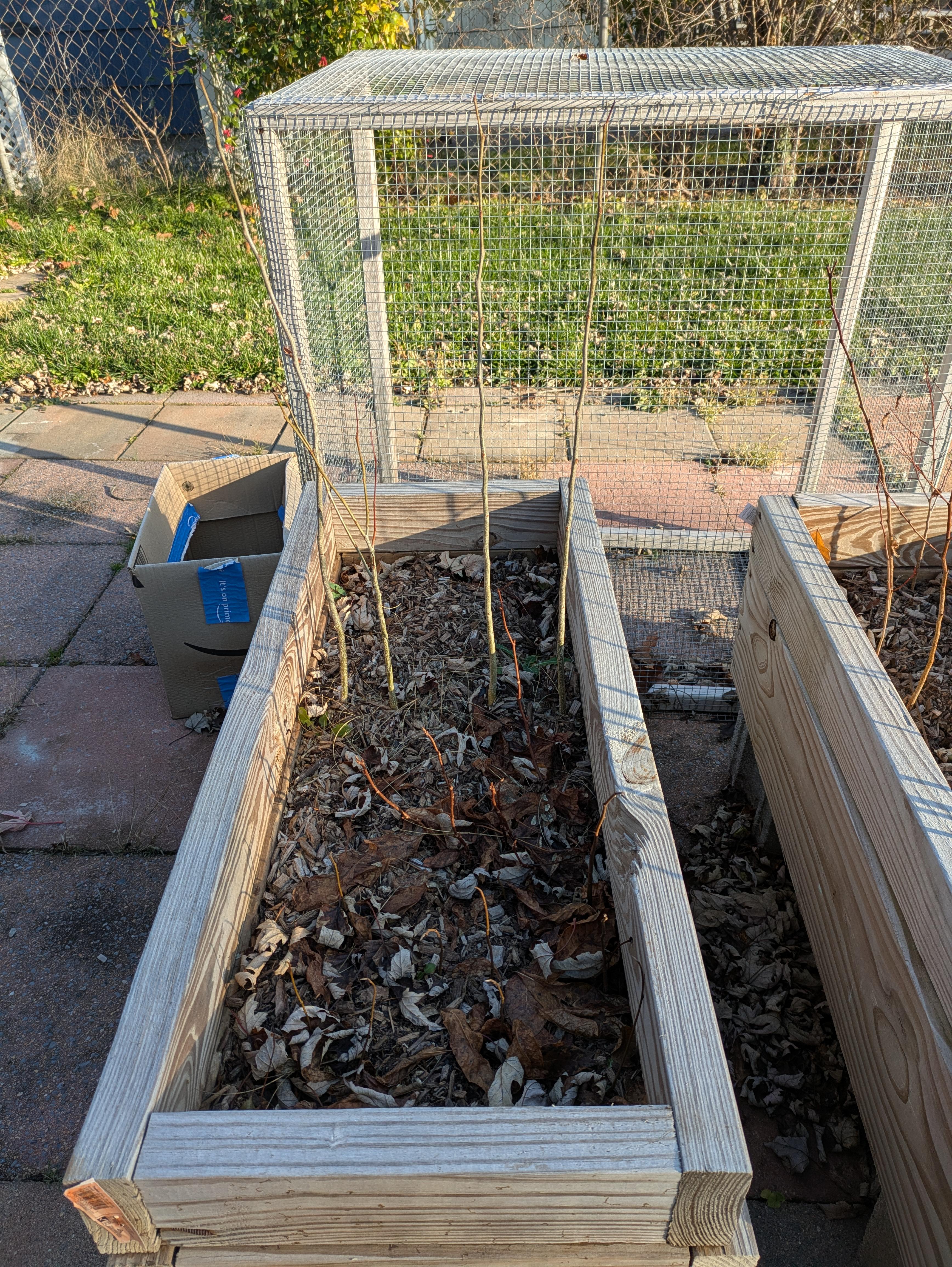 Are air pruning beds worth it? Pros cons and alternatives!
