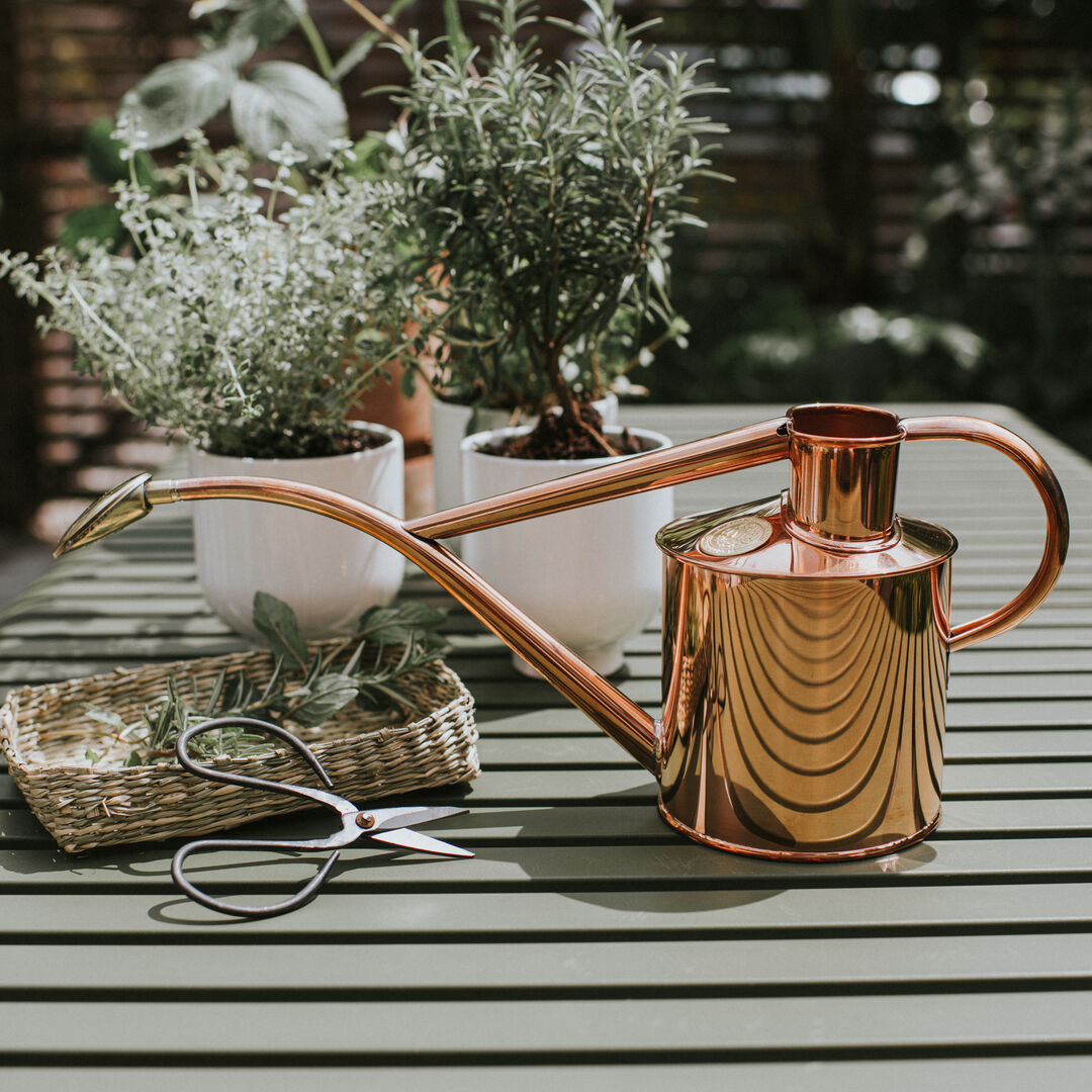 Buying Haws Watering Can Mistakes? Avoid These 3 Common Errors!